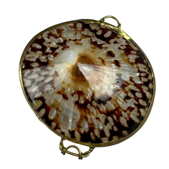 Vintage Brown Blister Shell Trinket Box 2 1/2" - Picture 4 of 5